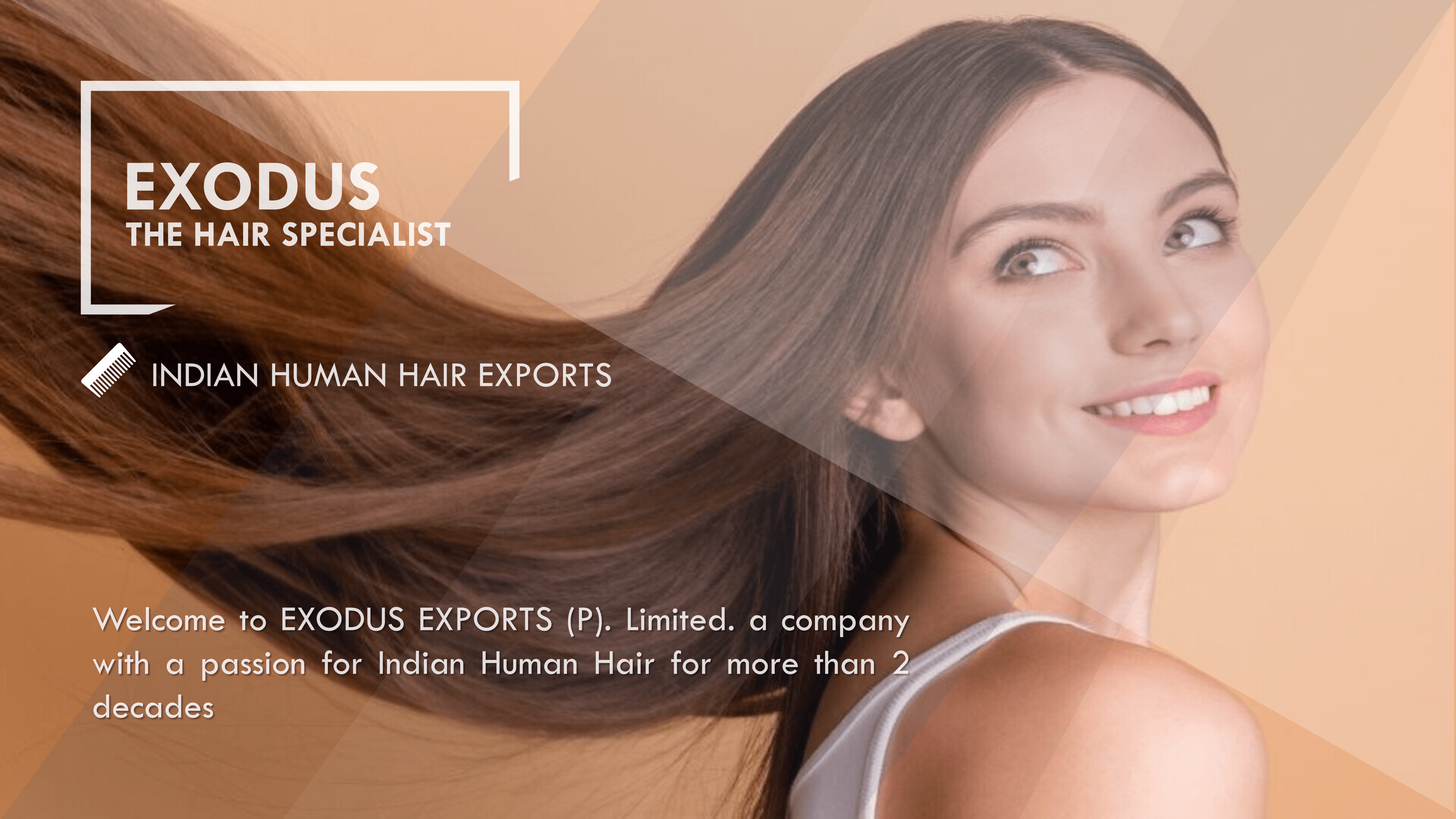 Exodus Exports